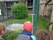 Výlet do ZOO Chleby a Labyrintária Loučeň